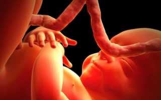Влияние сексуальной жизни женщины на беременность