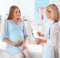 Длина цервикального канала у беременной: нормы, причины и виды патологий