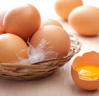 Можно ли кормящей маме кушать яичницу и омлет: польза куриных и перепелиных яиц при грудном вскармливании