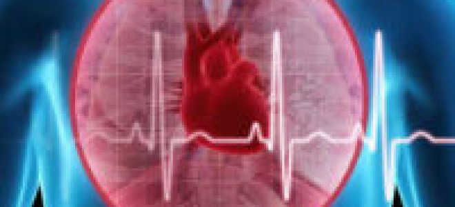 Приложение 4