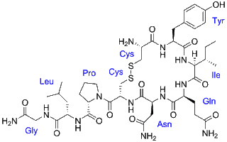 Окситоцин (Oxytocin)