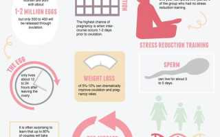 Слайд-шоу: понимание фертильности и овуляции: факты, которые помогут вам забеременеть — Беременность — 2020