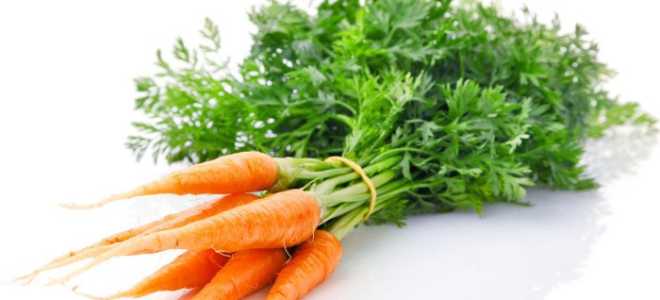Морковь и морковный сок при грудном кормлении