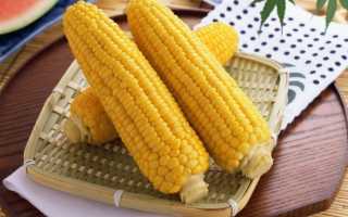 Можно ли кормящей маме вареную и консервированную кукурузу: введение продукта при грудном вскармливании