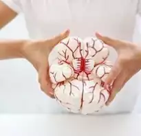 Киста головного мозга: причины заболевания, основные симптомы, лечение и профилактика