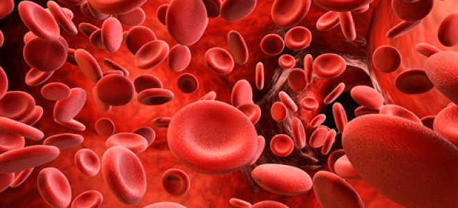 СОЭ выше нормы — что это значит у мужчин, женщин и детей (таблицы значений по возрасту и возможные проблемы)