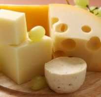 Сыр в детском рационе