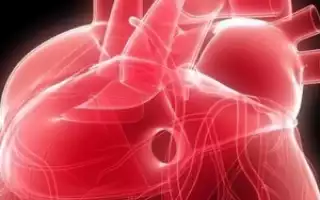 Сердечная астма: причины заболевания, основные симптомы, лечение и профилактика