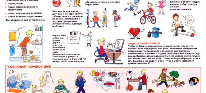 Основы здорового образа жизни
